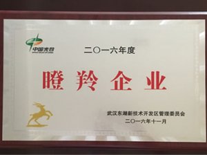 2016年度瞪羚企业